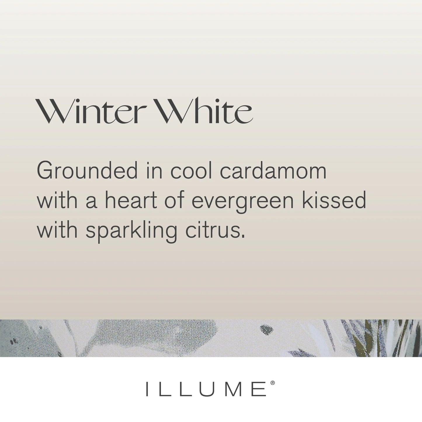 Winter White Candle Trio Gift Set