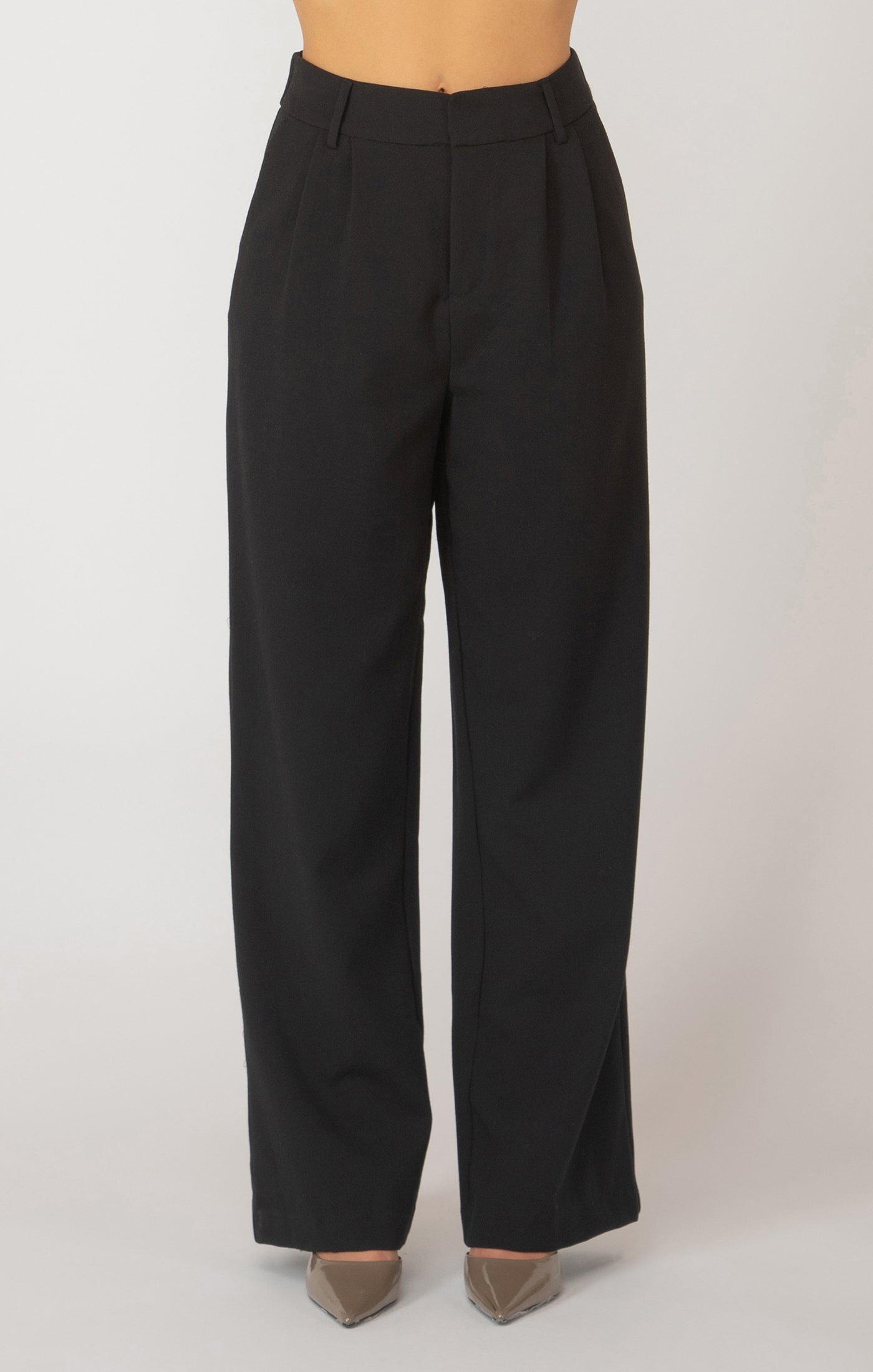 Pleated Wide Leg Trouser Pants Pizzazz Beloit