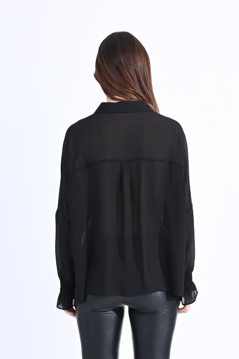 Luxurious Sheer Shirt