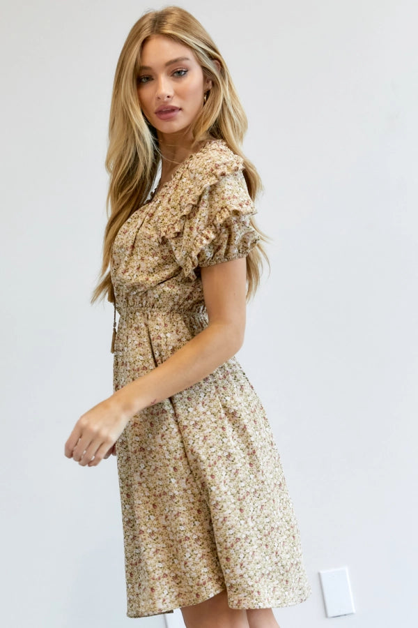 Delicate Vintage Inspired Ruffled Mini Dress