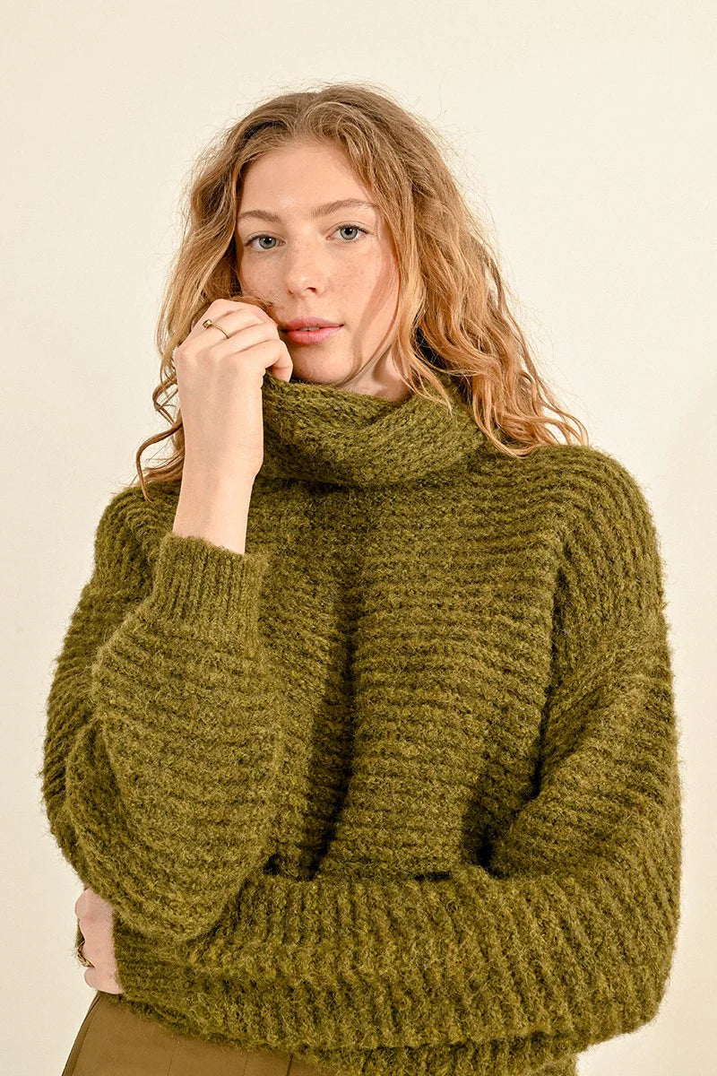 Chunky Wide Turtleneck Sweater