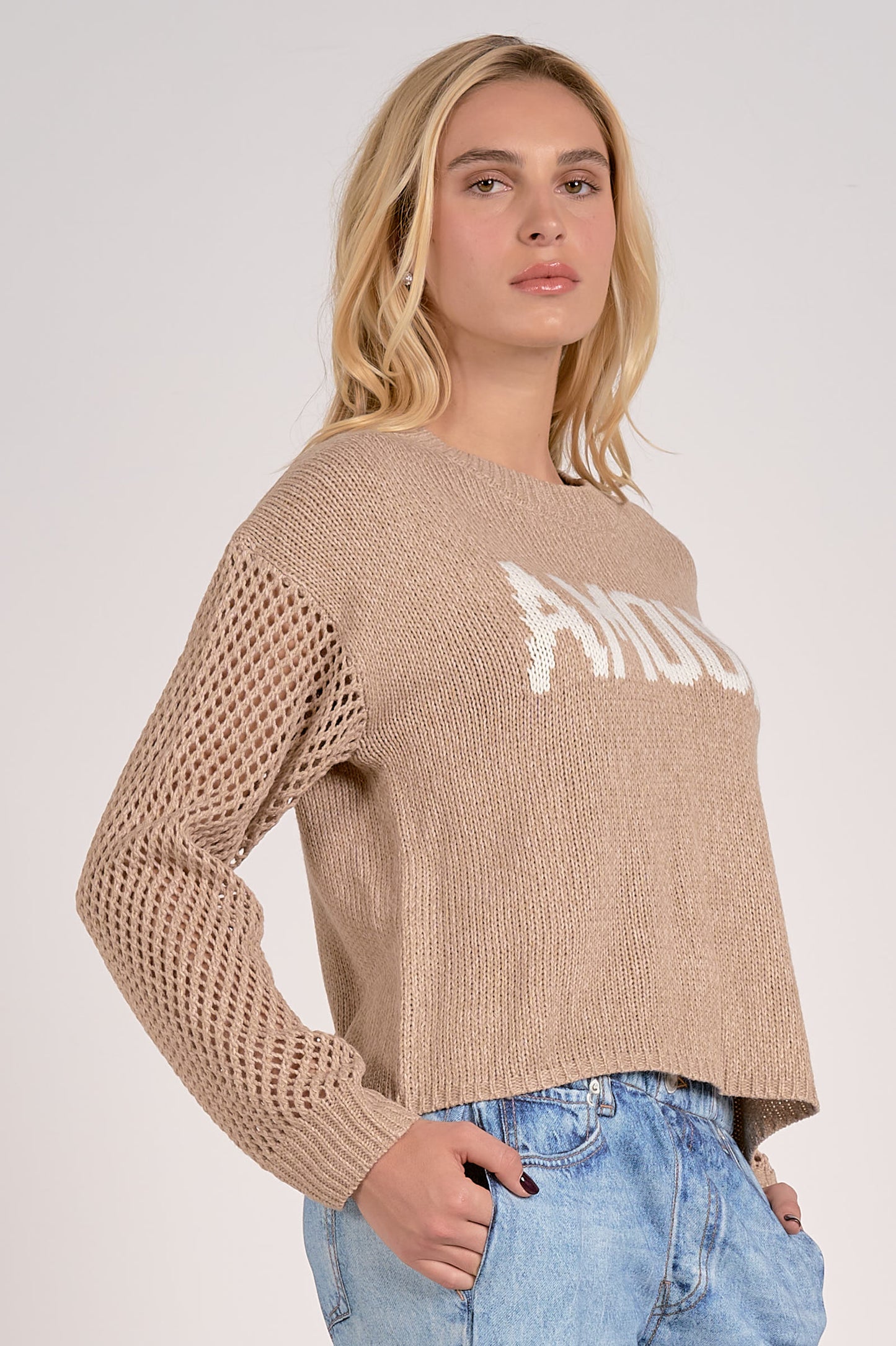 Mesh Sleeve Amour Sweater