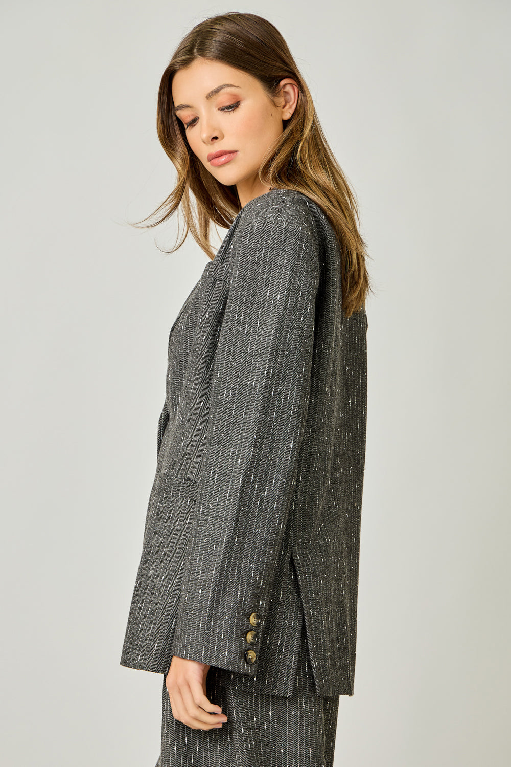 The Sparklet Pinstripe Blazer