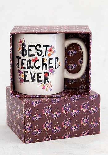Best Teacher Ever Boxed Mug