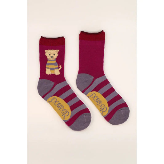 Wooly Westie Ankle Socks - Damson