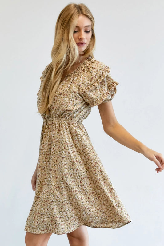 Delicate Vintage Inspired Ruffled Mini Dress