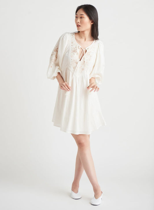 Embroidered Puff Sleeves Mini Dress