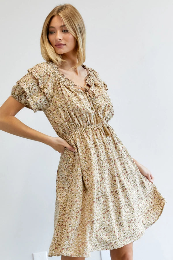 Delicate Vintage Inspired Ruffled Mini Dress